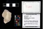 Foto (Objekt + Etikett) von Pithonoton sp.  (NHMW-GEO-2014-0194-0281)